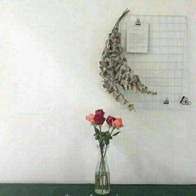 BO半岛综合app安全下载截图